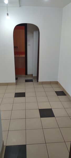 Titan, Basarbia, Arena Nationala,